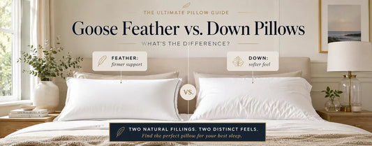 Goose feather vs down pillows guide showing firmer feather support and softer down feel in a modern bedroom setting.